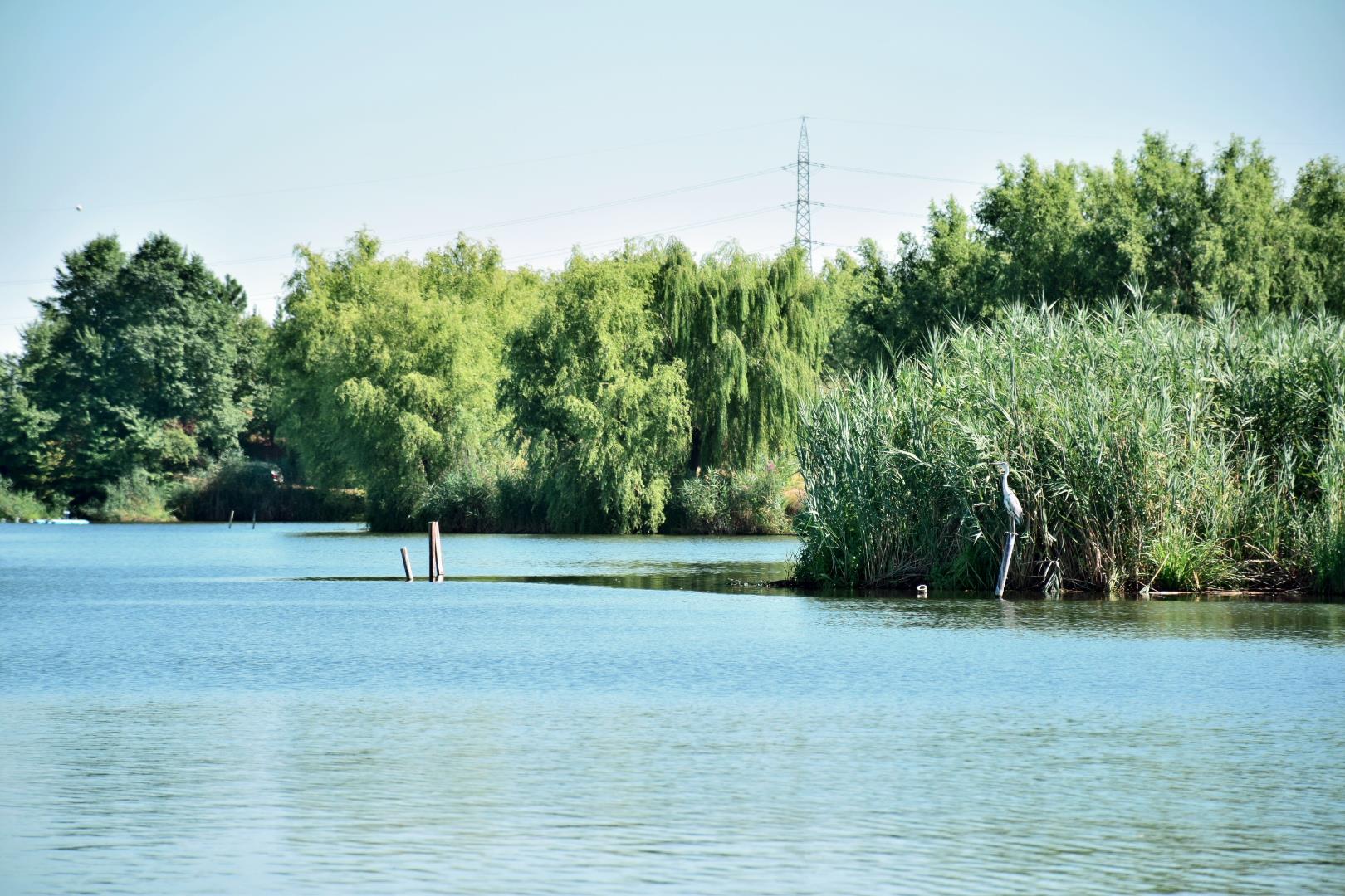 Tancabesti 13 - 15 aug. - csc1018.JPG